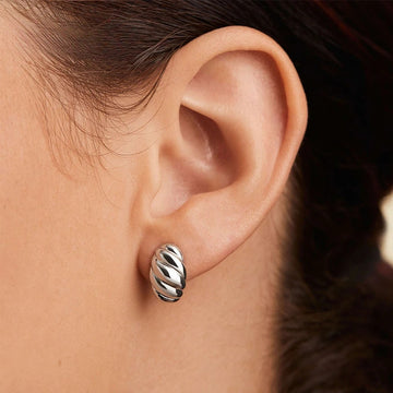 Small Stainless Steel Hoop Earrings