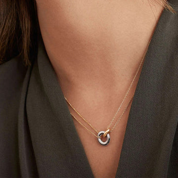 Two-Tone Stainless Steel Pendant Necklace – Elegant Short Chain