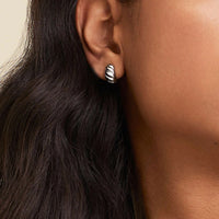 Small Stainless Steel Hoop Earrings